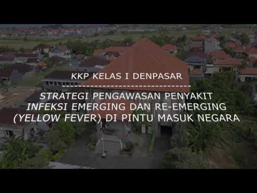 Strategi Pengawasan Penyakit Infeksi Emerging (Yellow Fever) di Pintu Masuk Negara